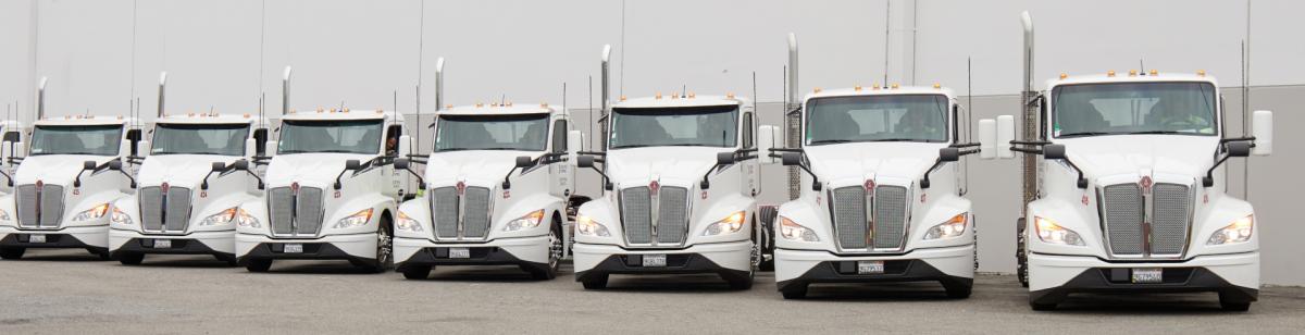 Row of parked transport trucks